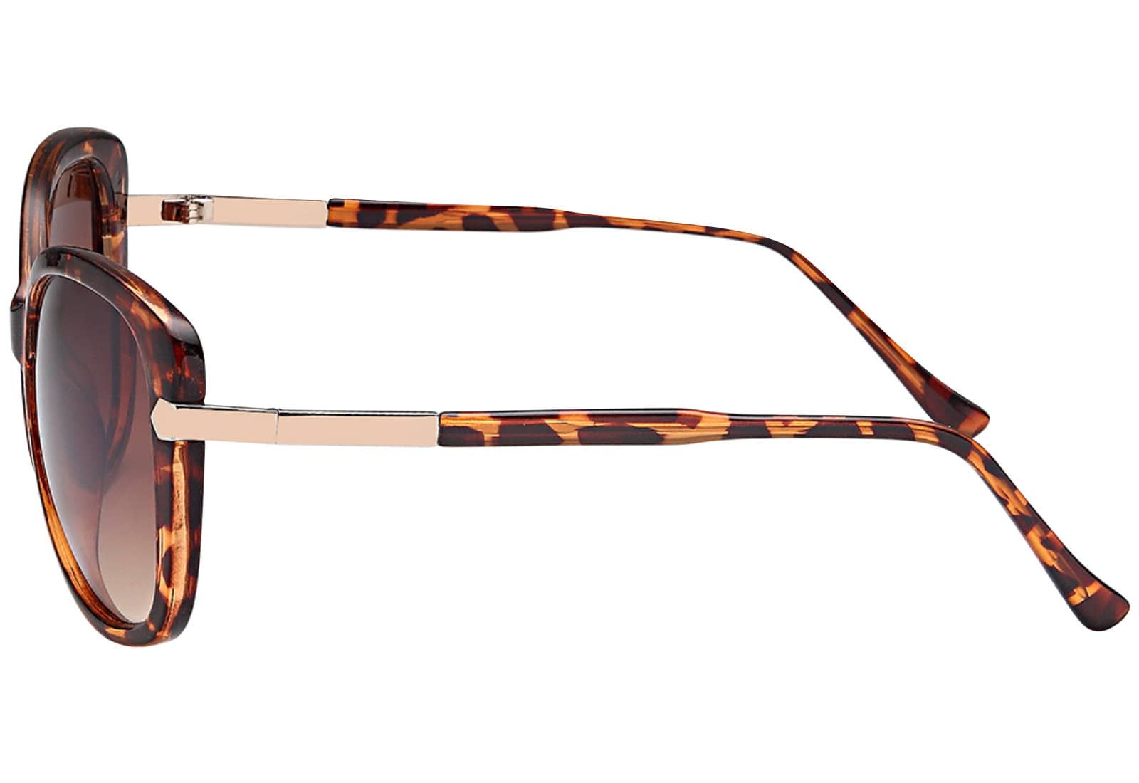 Leoparde